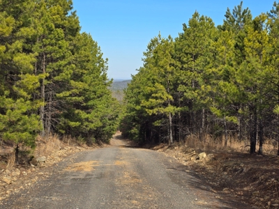 23.7 Acre Recreational Property - Off-Grid Cabin - image 16