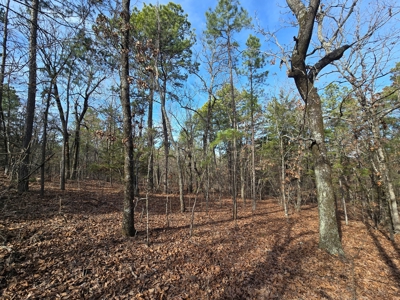 23.7 Acre Recreational Property - Off-Grid Cabin - image 24