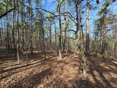 23.7 Acre Recreational Property - Off-Grid Cabin - image 29