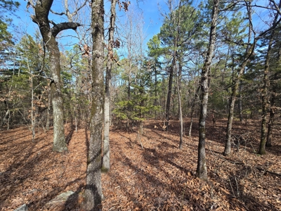 23.7 Acre Recreational Property - Off-Grid Cabin - image 23