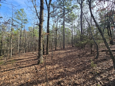 23.7 Acre Recreational Property - Off-Grid Cabin - image 27
