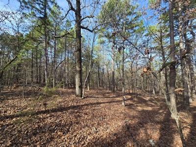 23.7 Acre Recreational Property - Off-Grid Cabin - image 30