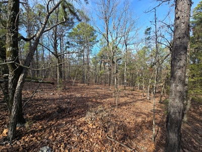 23.7 Acre Recreational Property - Off-Grid Cabin - image 22