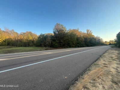 Potential Commercial Property for Sale in Clinton, MS - image 1