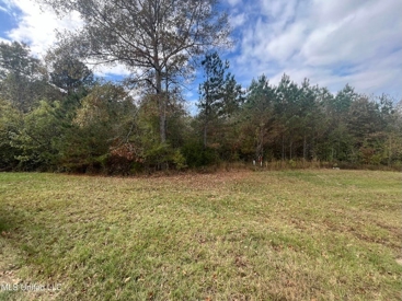 Listing 225