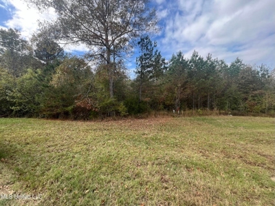 Potential Commercial Property for Sale in Clinton, MS - image 2