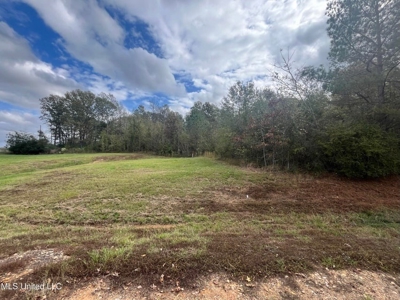 Potential Commercial Property for Sale in Clinton, MS - image 3