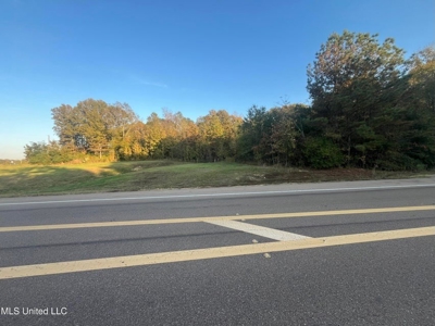 Potential Commercial Property for Sale in Clinton, MS - image 6