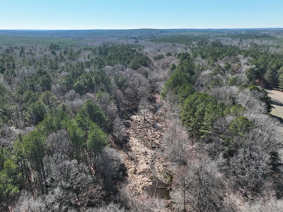 East Texas Timberland and Hunting Property - image 20