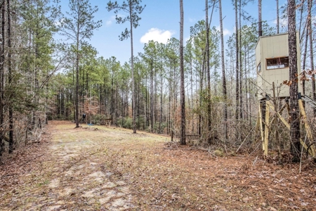 100 Acres in West Feliciana with 2 Bed/1 Bath Camp - image 17