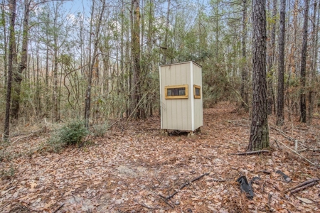 100 Acres in West Feliciana with 2 Bed/1 Bath Camp - image 20