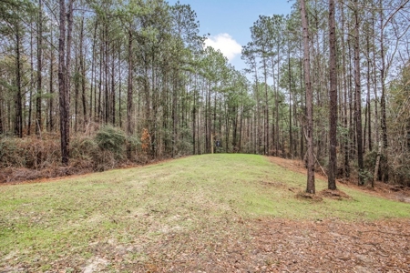100 Acres in West Feliciana with 2 Bed/1 Bath Camp - image 36