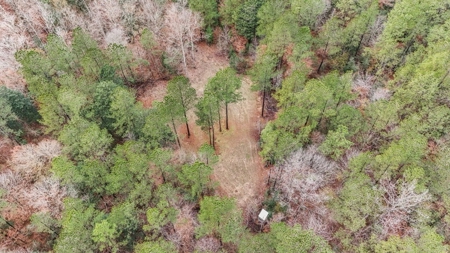 100 Acres in West Feliciana with 2 Bed/1 Bath Camp - image 44