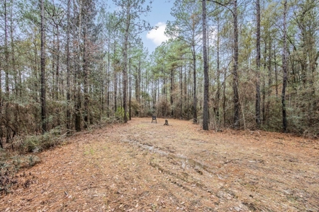 100 Acres in West Feliciana with 2 Bed/1 Bath Camp - image 32
