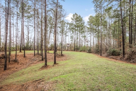 100 Acres in West Feliciana with 2 Bed/1 Bath Camp - image 1