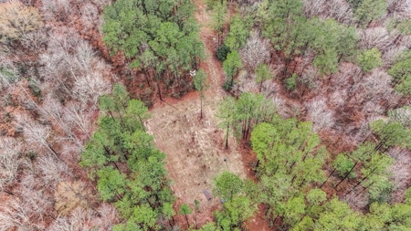 100 Acres in West Feliciana with 2 Bed/1 Bath Camp - image 41