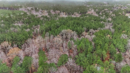 100 Acres in West Feliciana with 2 Bed/1 Bath Camp - image 40