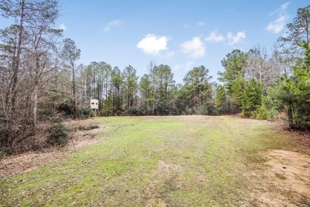 100 Acres in West Feliciana with 2 Bed/1 Bath Camp - image 29
