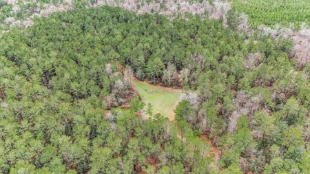 100 Acres in West Feliciana with 2 Bed/1 Bath Camp - image 31