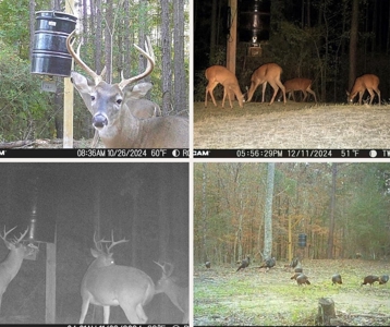 100 Acres in West Feliciana with 2 Bed/1 Bath Camp - image 45