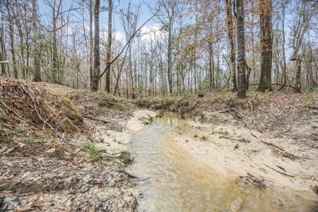 100 Acres in West Feliciana with 2 Bed/1 Bath Camp - image 26