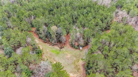 100 Acres in West Feliciana with 2 Bed/1 Bath Camp - image 34