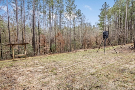 100 Acres in West Feliciana with 2 Bed/1 Bath Camp - image 18