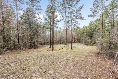100 Acres in West Feliciana with 2 Bed/1 Bath Camp - image 28