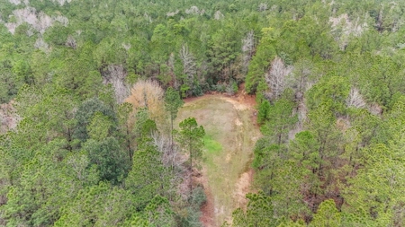 100 Acres in West Feliciana with 2 Bed/1 Bath Camp - image 23