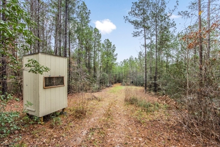 100 Acres in West Feliciana with 2 Bed/1 Bath Camp - image 38