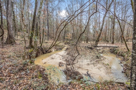 100 Acres in West Feliciana with 2 Bed/1 Bath Camp - image 33