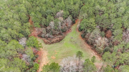 100 Acres in West Feliciana with 2 Bed/1 Bath Camp - image 21