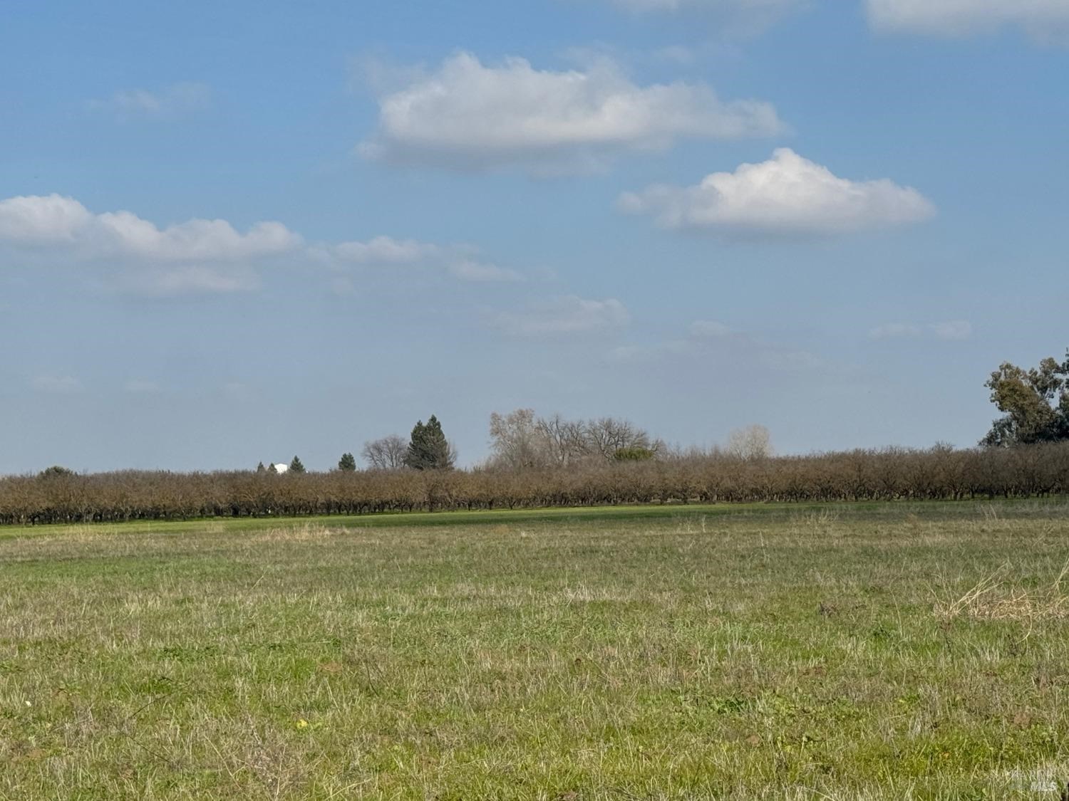 Schroeder Road, Dixon, CA 95620