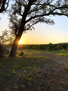 10.5 Acres of Riverfront Land in Junction TX  North Llano - image 26