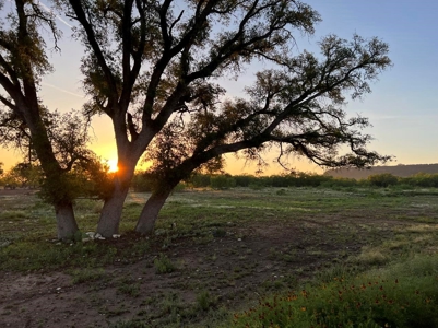 10.5 Acres of Riverfront Land in Junction TX  North Llano - image 15
