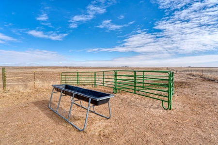 Central New Mexico Horse Property on 40 Acres - image 46