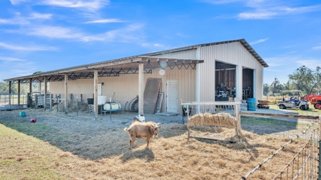 10 Acres, Equine, Ranch, Farm Property with Custom Home - image 32