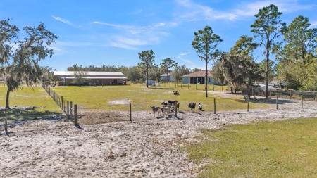 10 Acres, Equine, Ranch, Farm Property with Custom Home - image 9