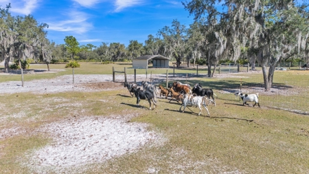 10 Acres, Equine, Ranch, Farm Property with Custom Home - image 6