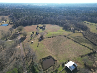 5 Acre Lot in Hallsville, Texas - image 7