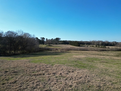 5 Acre Lot in Hallsville, Texas - image 11