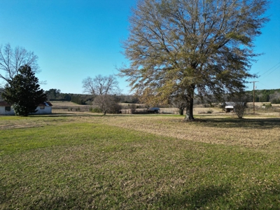 5 Acre Lot in Hallsville, Texas - image 4