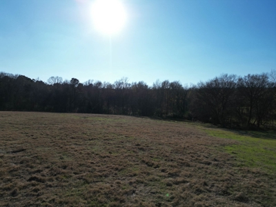 5 Acre Lot in Hallsville, Texas - image 10