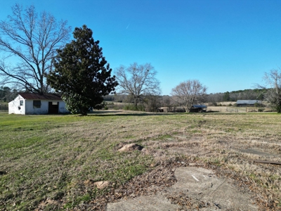 5 Acre Lot in Hallsville, Texas - image 1