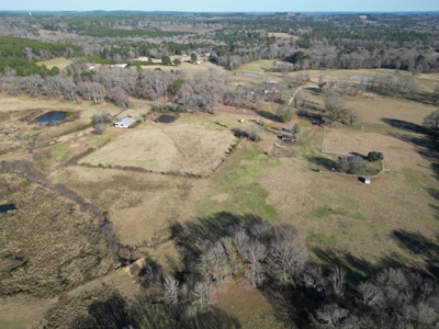 5 Acre Lot in Hallsville, Texas - image 8