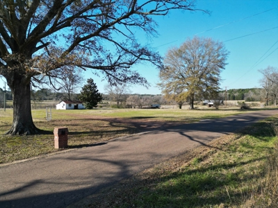 5 Acre Lot in Hallsville, Texas - image 3