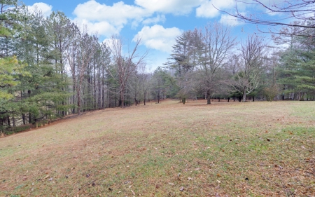 Ga Mountain Luxury Home With Acreage On The Chestatee River - image 44