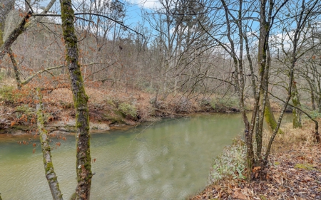 Ga Mountain Luxury Home With Acreage On The Chestatee River - image 47