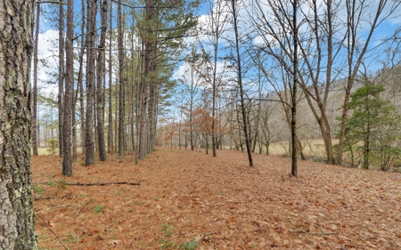 Ga Mountain Luxury Home With Acreage On The Chestatee River - image 48