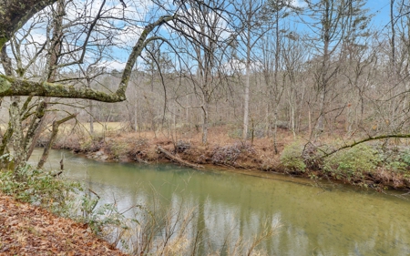 Ga Mountain Luxury Home With Acreage On The Chestatee River - image 46